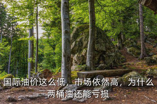 國(guó)際油價(jià)這么低，市場(chǎng)依然高，為什么兩桶油還能虧損