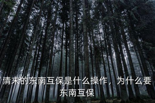 清末的東南互保是什么操作，為什么要東南互保