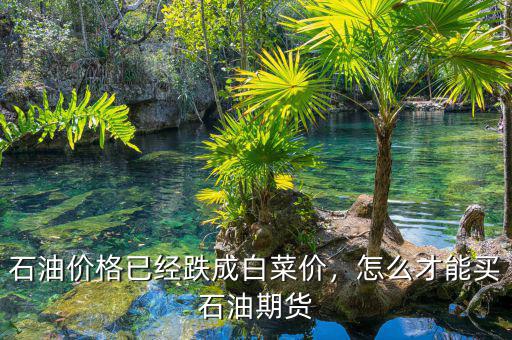 石油價格已經(jīng)跌成白菜價，怎么才能買石油期貨