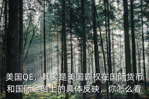 美國QE，其實是美國霸權在國際貨幣和國際金融上的具體反映，你怎么看