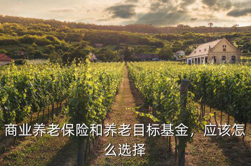 商業(yè)養(yǎng)老保險和養(yǎng)老目標(biāo)基金，應(yīng)該怎么選擇