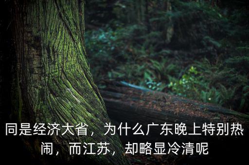 同是經(jīng)濟大省，為什么廣東晚上特別熱鬧，而江蘇，卻略顯冷清呢