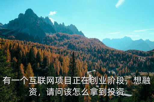 有一個(gè)互聯(lián)網(wǎng)項(xiàng)目正在創(chuàng)業(yè)階段，想融資，請問該怎么拿到投資