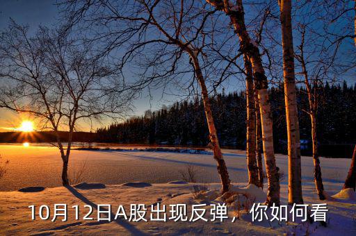 10月12日A股出現(xiàn)反彈，你如何看