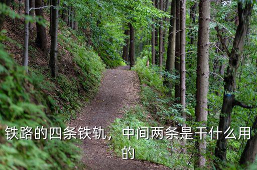 鐵路的四條鐵軌，中間兩條是干什么用的