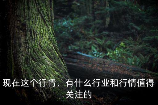 現(xiàn)在這個行情，有什么行業(yè)和行情值得關注的