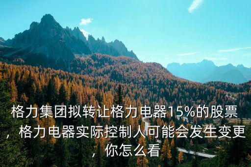 格力集團擬轉(zhuǎn)讓格力電器15%的股票，格力電器實際控制人可能會發(fā)生變更，你怎么看