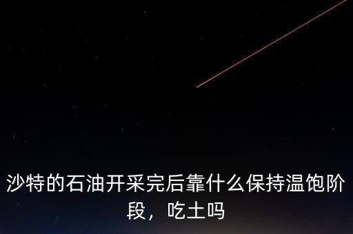 沙特的石油開采完后靠什么保持溫飽階段，吃土嗎
