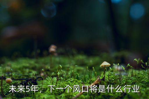 未來5年，下一個風口將是什么行業(yè)