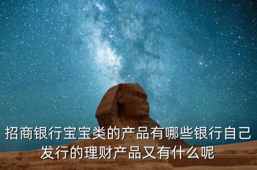 招商銀行寶寶類的產品有哪些銀行自己發(fā)行的理財產品又有什么呢