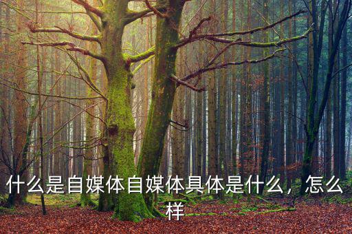 什么是自媒體自媒體具體是什么，怎么樣