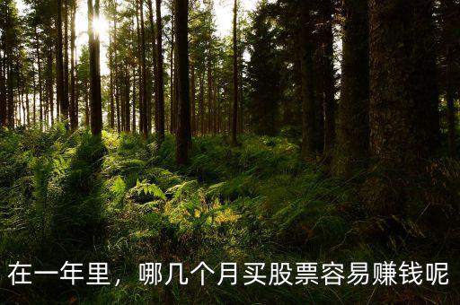 在一年里，哪幾個(gè)月買股票容易賺錢呢