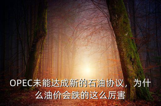 OPEC未能達(dá)成新的石油協(xié)議，為什么油價(jià)會(huì)跌的這么厲害