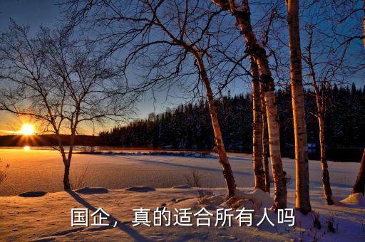 國(guó)企，真的適合所有人嗎