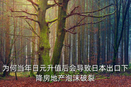 為何當年日元升值后會導致日本出口下降房地產泡沫破裂