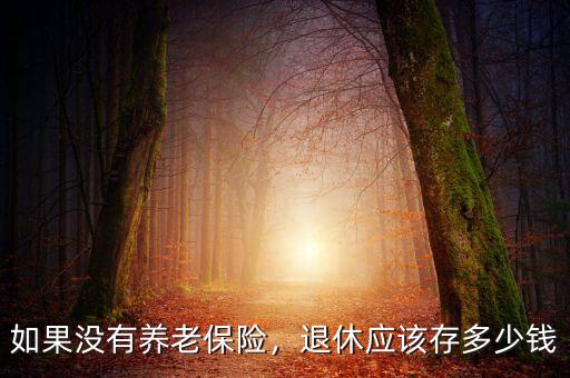 如果沒有養(yǎng)老保險(xiǎn)，退休應(yīng)該存多少錢