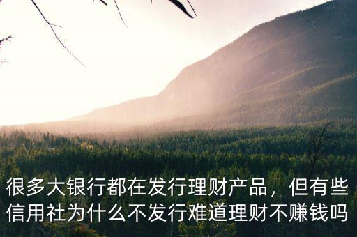 很多大銀行都在發(fā)行理財產(chǎn)品，但有些信用社為什么不發(fā)行難道理財不賺錢嗎