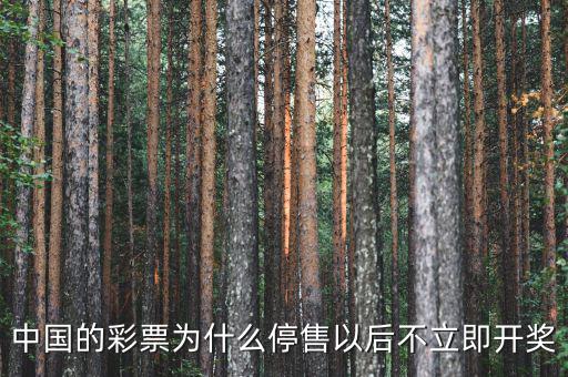 什么彩票沒(méi)有停售,彩票每天晚8點(diǎn)停售