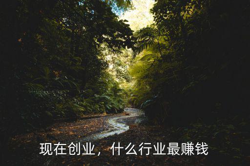 現(xiàn)在創(chuàng)業(yè)，什么行業(yè)最賺錢