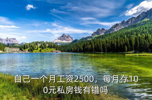 自己一個月工資2500，每月存100元私房錢有錯嗎