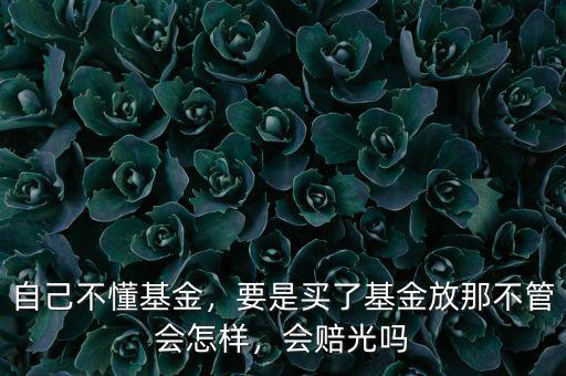 自己不懂基金，要是買了基金放那不管會怎樣，會賠光嗎