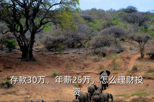 存款30萬，年薪25萬，怎么理財投資