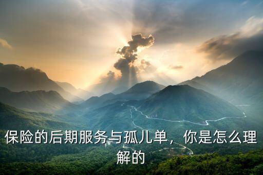 保險(xiǎn)的后期服務(wù)與孤兒?jiǎn)?，你是怎么理解? class=