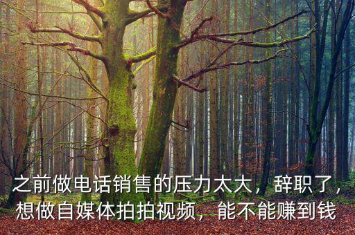 之前做電話銷售的壓力太大，辭職了，想做自媒體拍拍視頻，能不能賺到錢