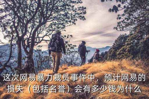 這次網(wǎng)易暴力裁員事件中，預(yù)計網(wǎng)易的損失（包括名譽(yù)）會有多少錢為什么