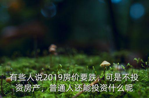 有些人說(shuō)2019房?jī)r(jià)要跌，可是不投資房產(chǎn)，普通人還能投資什么呢