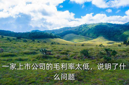 一家上市公司的毛利率太低，說明了什么問題