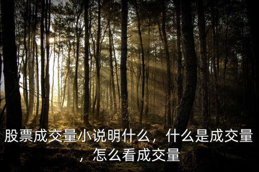 股票成交量小說明什么，什么是成交量，怎么看成交量