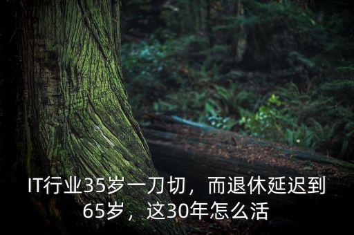 IT行業(yè)35歲一刀切，而退休延遲到65歲，這30年怎么活