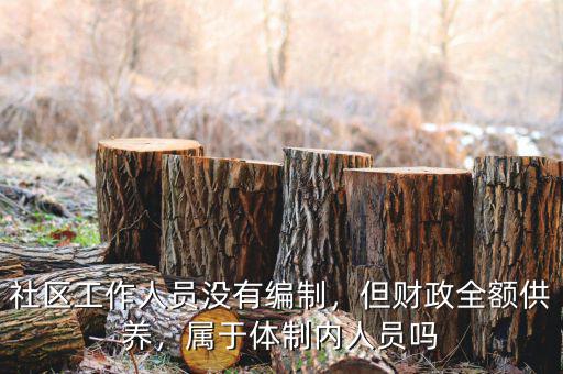 社區(qū)工作人員沒(méi)有編制，但財(cái)政全額供養(yǎng)，屬于體制內(nèi)人員嗎