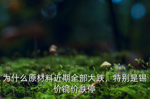 為什么原材料近期全部大跌，特別是錫價銅價跌停