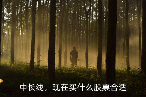 中長線，現(xiàn)在買什么股票合適