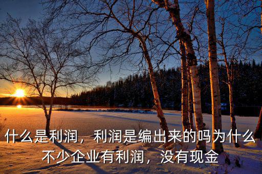 什么是利潤，利潤是編出來的嗎為什么不少企業(yè)有利潤，沒有現(xiàn)金
