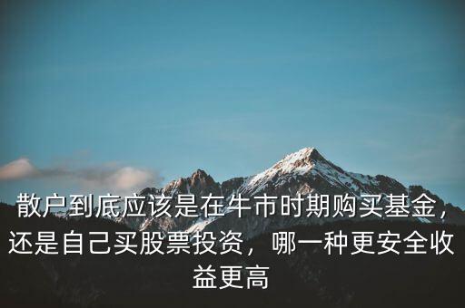 散戶到底應(yīng)該是在牛市時期購買基金，還是自己買股票投資，哪一種更安全收益更高
