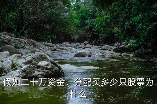 假如二十萬(wàn)資金，分配買(mǎi)多少只股票為什么