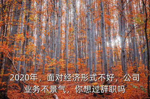 2020年，面對經(jīng)濟(jì)形式不好，公司業(yè)務(wù)不景氣，你想過辭職嗎