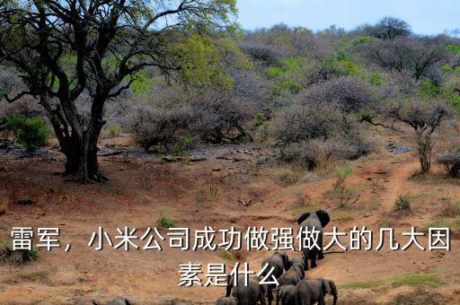雷軍，小米公司成功做強(qiáng)做大的幾大因素是什么