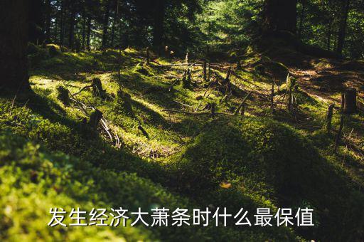 發(fā)生經(jīng)濟(jì)大蕭條時什么最保值