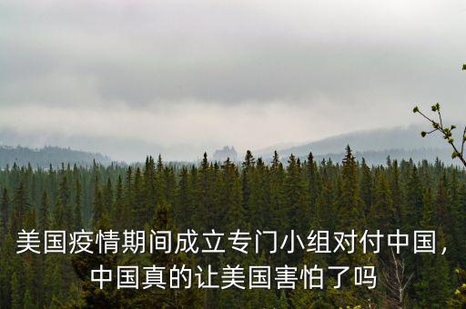 美國疫情期間成立專門小組對付中國，中國真的讓美國害怕了嗎