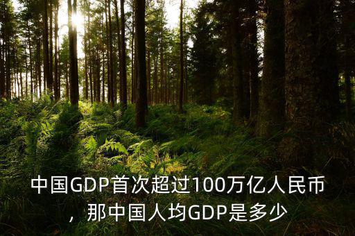 中國(guó)GDP首次超過100萬億人民幣，那中國(guó)人均GDP是多少