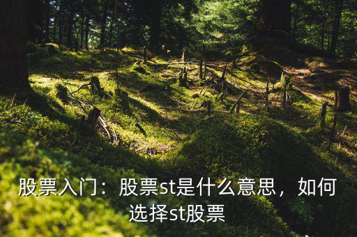 股票入門：股票st是什么意思，如何選擇st股票