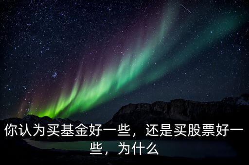 你認(rèn)為買基金好一些，還是買股票好一些，為什么