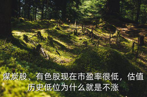 煤炭股、有色股現(xiàn)在市盈率很低，估值歷史低位為什么就是不漲