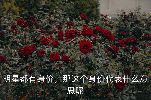 明星都有身價(jià)，那這個(gè)身價(jià)代表什么意思呢