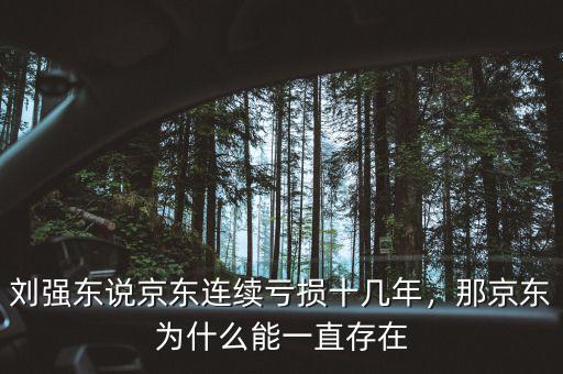 劉強(qiáng)東說(shuō)京東連續(xù)虧損十幾年，那京東為什么能一直存在