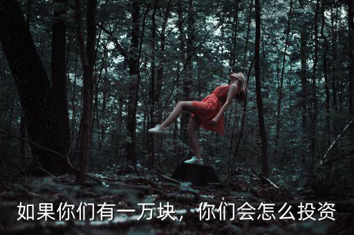 如果你們有一萬塊，你們會(huì)怎么投資